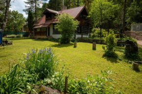 Baby Bear Cottage